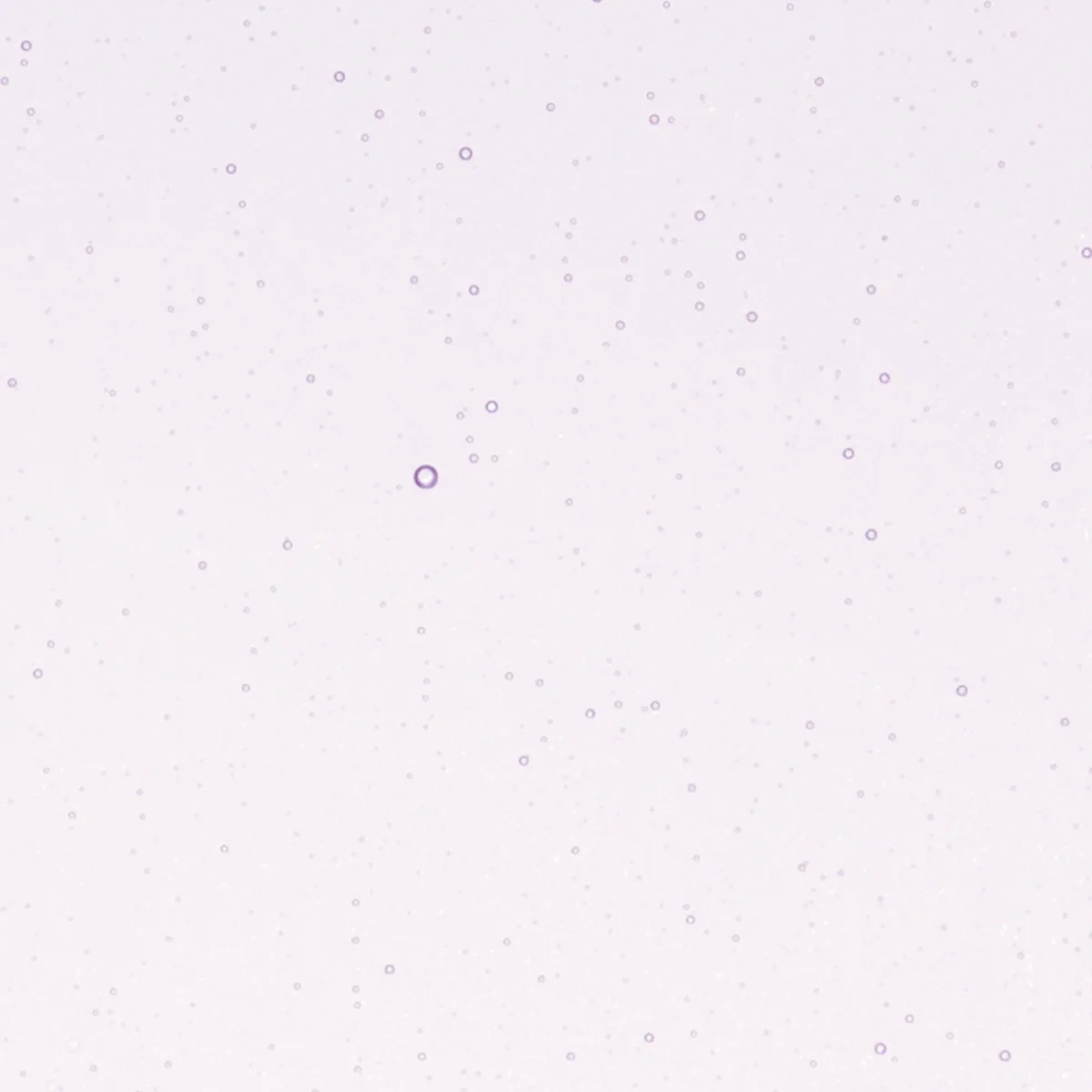 Purple Blue Tint, Double-rolled, 3 mm, Fusible