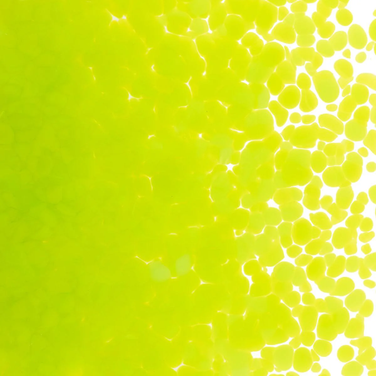 Spring Green Opalescent, Medium Frit, Fusible