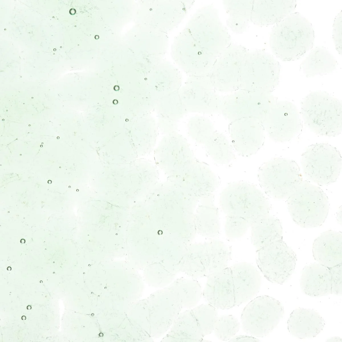 Spruce Green Tint, Coarse Frit, Fusible - Image 2