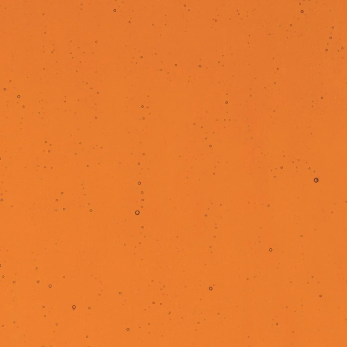 Sunset Coral Transparent, Double-rolled, 3 mm, Fusible