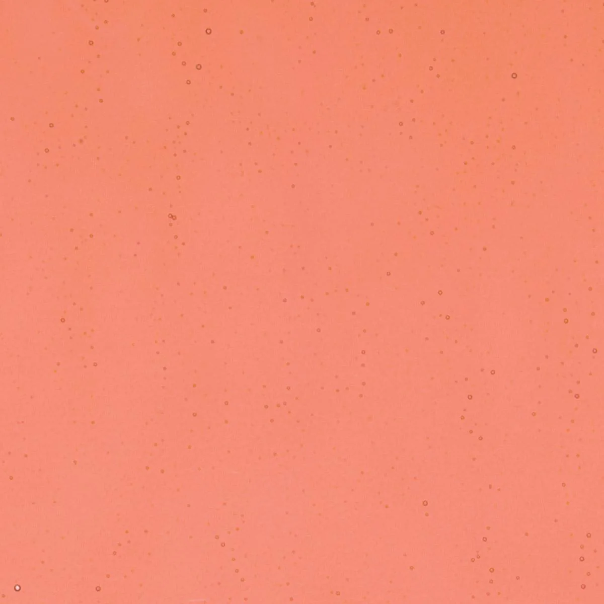 Sunset Coral Transparent, Thin-rolled, 2 mm, Fusible