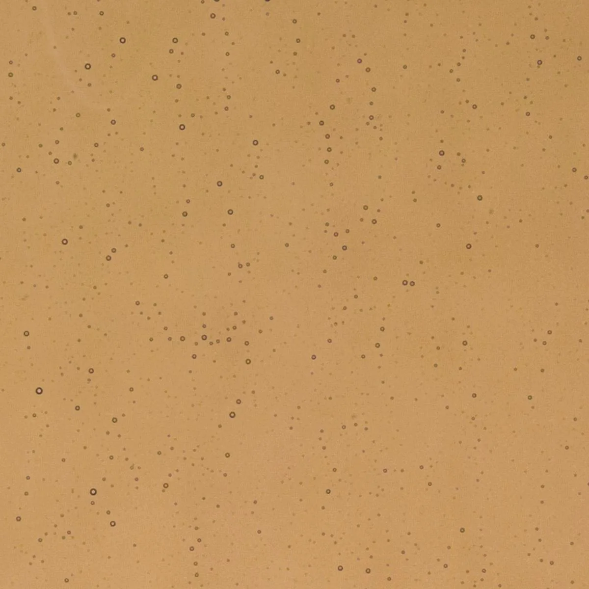 Tan Transparent, Thin-rolled, 2 mm, Color Sample, 2 x 2 in.